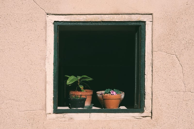 Silent Insights